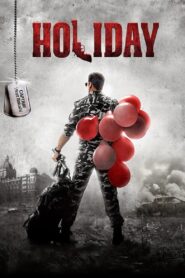 Holiday: A Soldier Is Never Off Duty (2014)